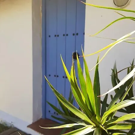 Alai, Exotico En La Playa Cadiz