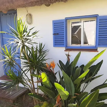 Holiday home Alai, Exotico En La Playa *
